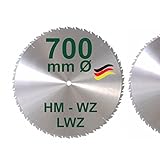 HM Sägeblatt 700 x 30 mm LWZ Hartmetall Präzision Kreissägeblatt 700mm Wechselzahn mit Spanabweiser für Naturholz Brennholz Hartholz Leimholz zum Sägen mit Wippsäge Tischkreissäge Kreissäge Kappsäge Brennholzsäge