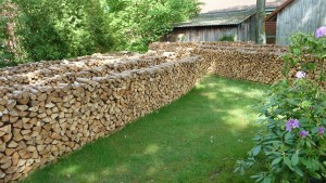 Holzstapel Brennholzsäge Test